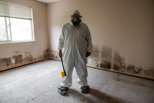 Best Residential Mold Removal  in Orangetree, FL